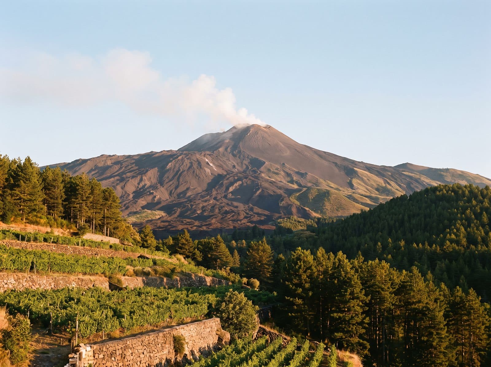 L'Etna con il suo pennacchio sopra vigneti e pinete